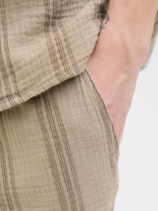 Actual product image Jack & Jones Relaxed Fit Relaxed Fit Shorts Relaxed Fit Shorts (M)