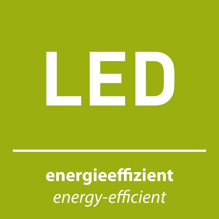 Immagine prodotto Paul Neuhaus lampada da tavolo LED in ottone antico 3000K 3W (265 lm, G9)