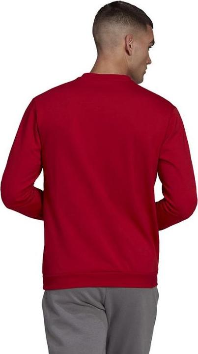 Actual product image adidas Entrada 22 sweatshirt men (3XL)