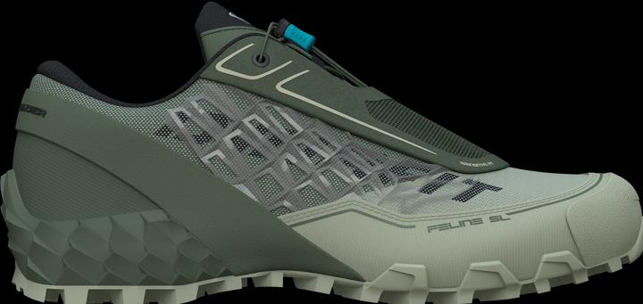 Image du produit Dynafit Chaussure de course Feline SL (45)