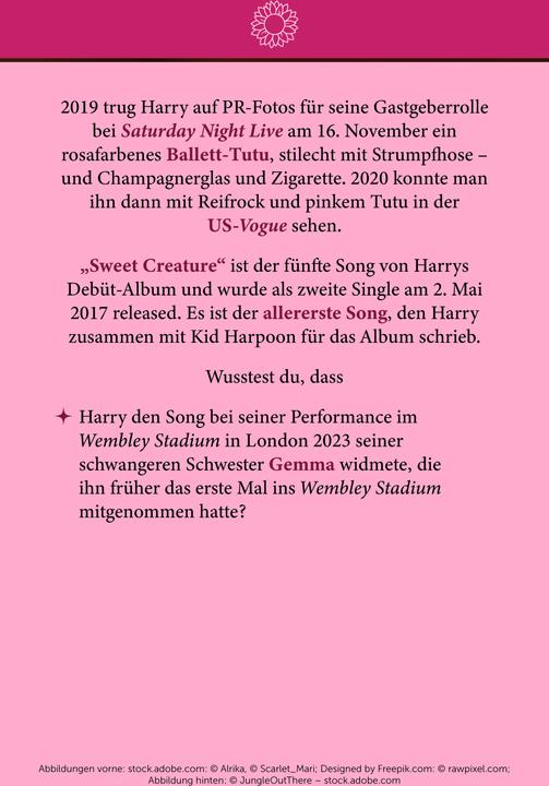 Produktbild Fan-Box Harry Styles (30 Stk.)