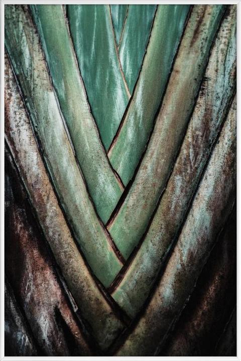 Immagine prodotto Juniqe Palma dei viaggiatori (30 x 45 cm)