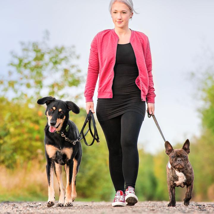 Actual product image Tractive GPS Pet Tracker (Dog)