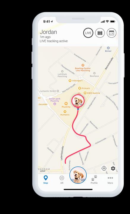 Tractive GPS Pet Tracker (One Size, Hund, Katze, Spazieren)
