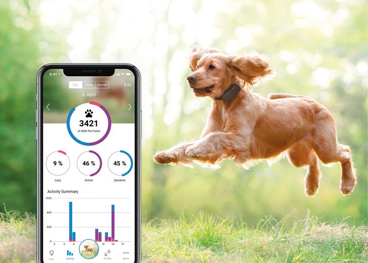 Produktbild Tractive GPS Tracker Hund mit Aktivitätstracking (Hund)