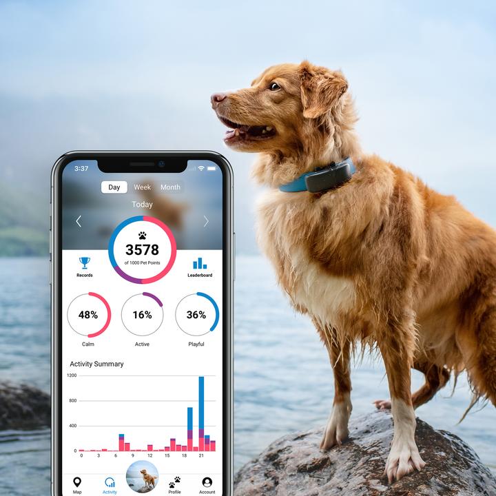 Produktbild Tractive GPS Tracker Hund mit Aktivitätstracking (Hund)