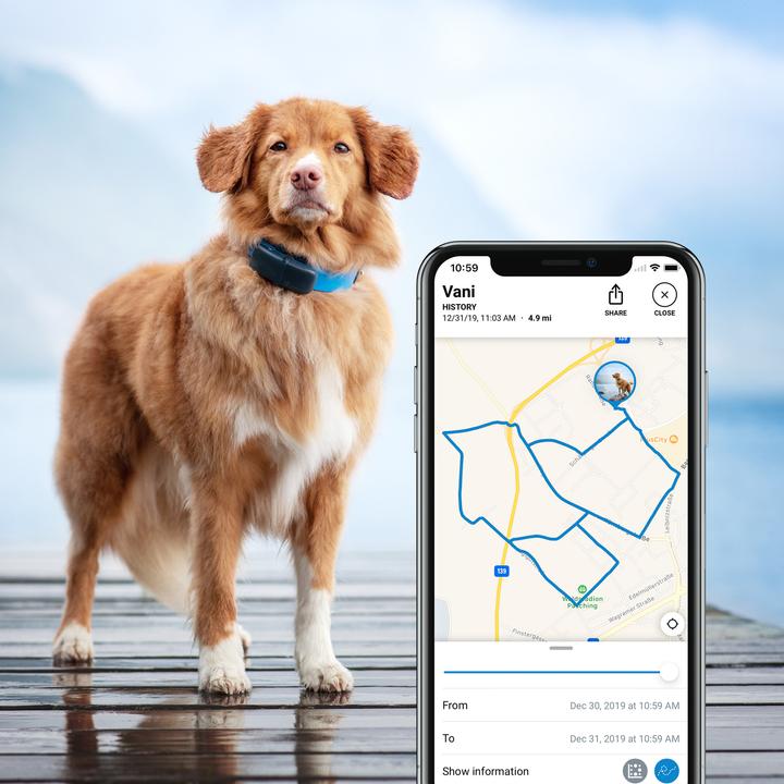 Produktbild Tractive GPS Tracker Hund mit Aktivitätstracking (Hund)