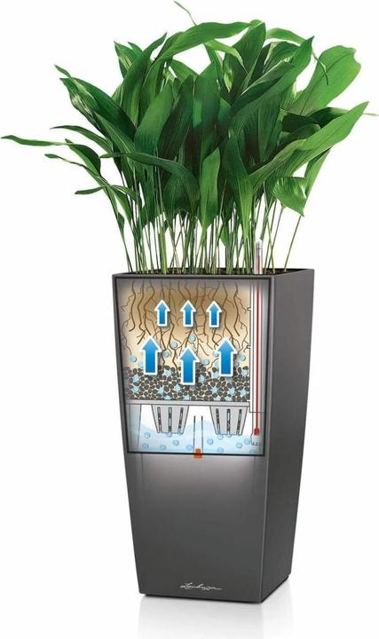 Actual product image Lechuza Cubico Premium 22 brown plant pot, volume: 6 litres (22 cm)