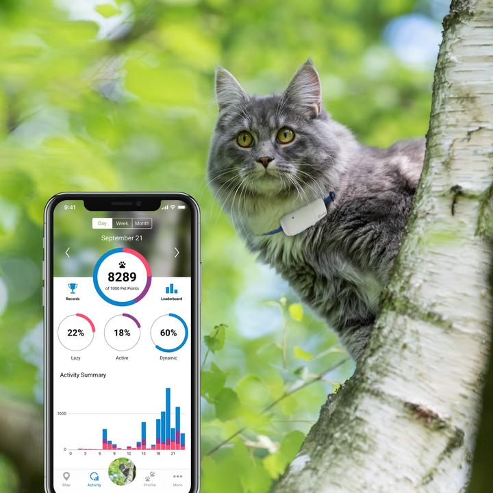 Actual product image Tractive GPS tracker for cats with activity tracking (Cat, Walks)