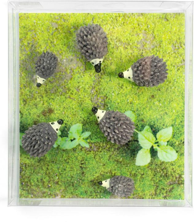 Image du produit Trendform Hedgehog (6 x)