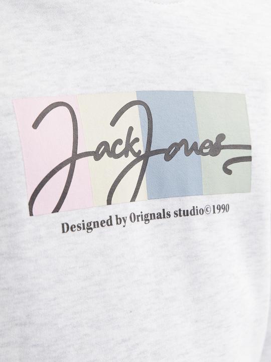 Actual product image Jack & Jones Logo Kapuzenpullover Junior Kapuzenpullover (176)