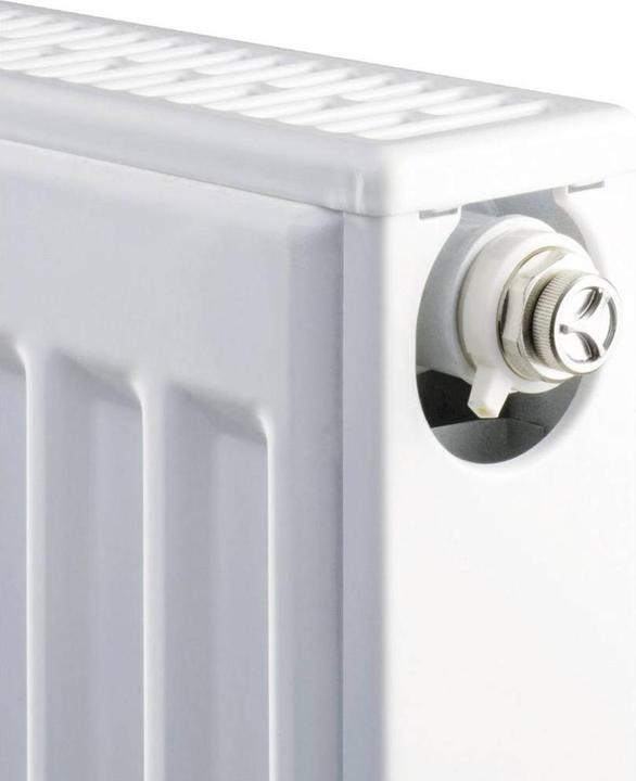 Actual product image No Name Fully Automatic Radiator Air Vent Set of 2