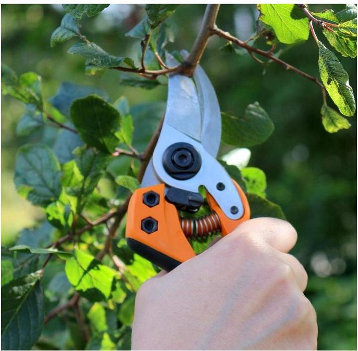 Produktbild Fiskars Gartenschere Bypass PB-8 M 102