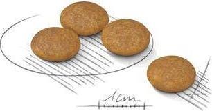 Produktbild Royal Canin Mini Dermacomfort für ausgewachsene Hunde kleiner Rassen mit empfindlicher Haut. Gewicht - 1 kg. (Senior, 1 Stk., 1000 g)