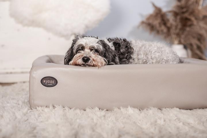 Image du produit Sabro Lit pour chien Kudde (Chien)