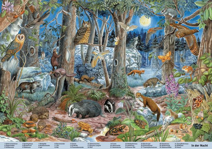Produktbild Mein grosses Wimmelbuch Tiere. Liebevoll illustriert von Anne Suess (Deutsch, Schwager & Steinlein, 2022)