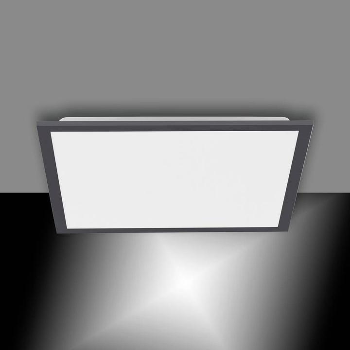 Produktbild Paul Neuhaus Flat (2100 lm)
