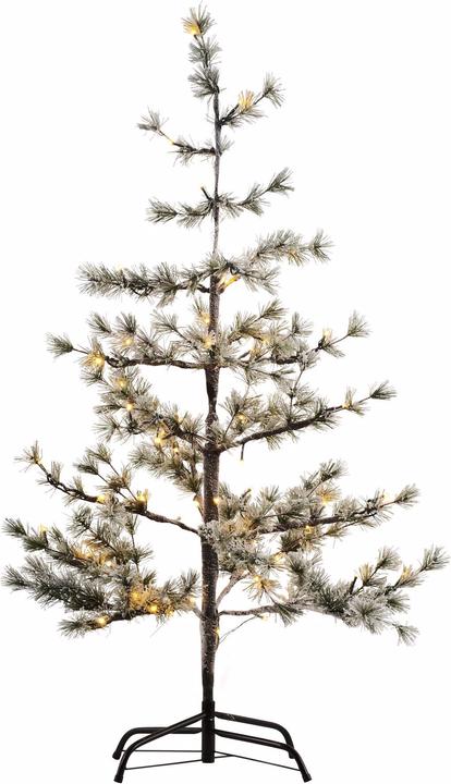 Actual product image Sirius Alfi (120 cm)