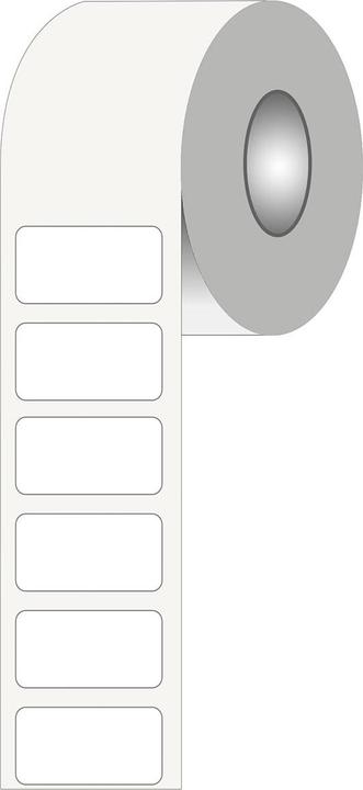 Image du produit Brady BPT-659-498, Tissu vinyle, blanc, repositionnable, 25.40 x 12.40 mm (1000 pcs.)
