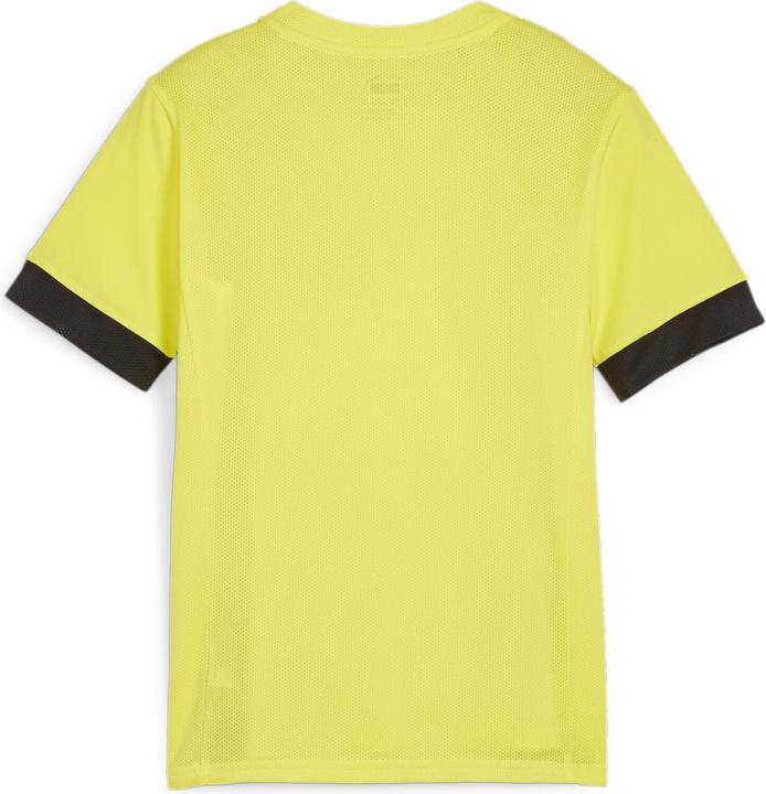 Image du produit Puma teamGOAL Matchday Jersey jr (152)