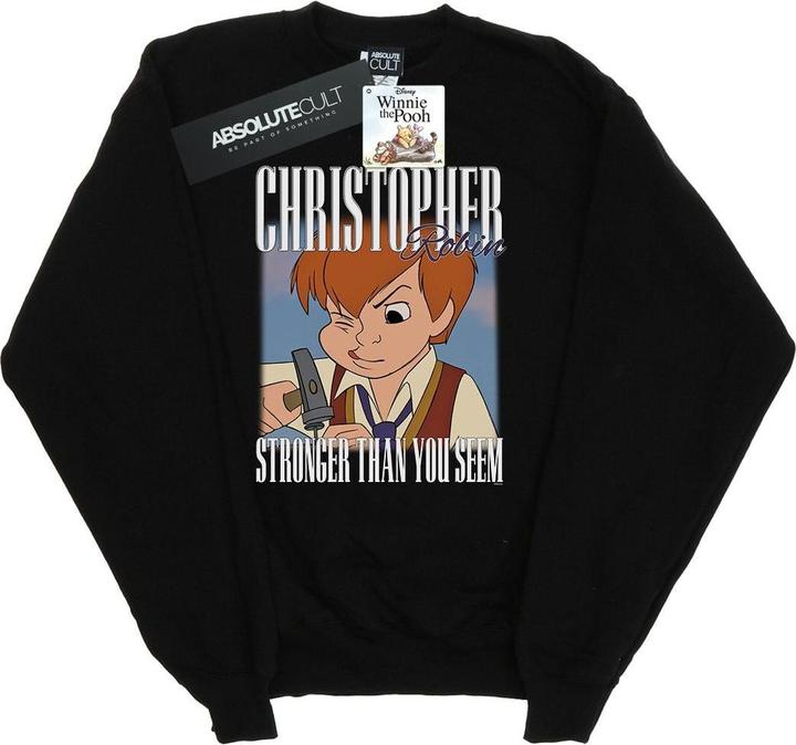 Disney Winnie The Pooh Christopher Robin Montage Sweatshirt (XL)