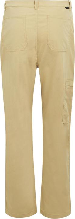 Actual product image Regatta Mens Dalry Multi Pocket Trousers (Frequency band 38 (2600 MHz))