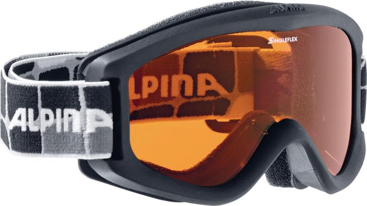 Produktbild ALPINA SPORTS Carvy 2.0