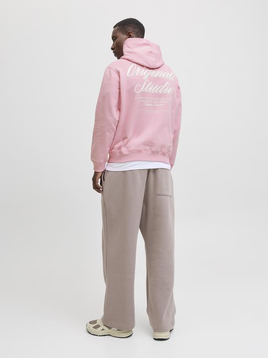 Actual product image Jack & Jones Kapuzenpullover Kapuzenpullover (XS)