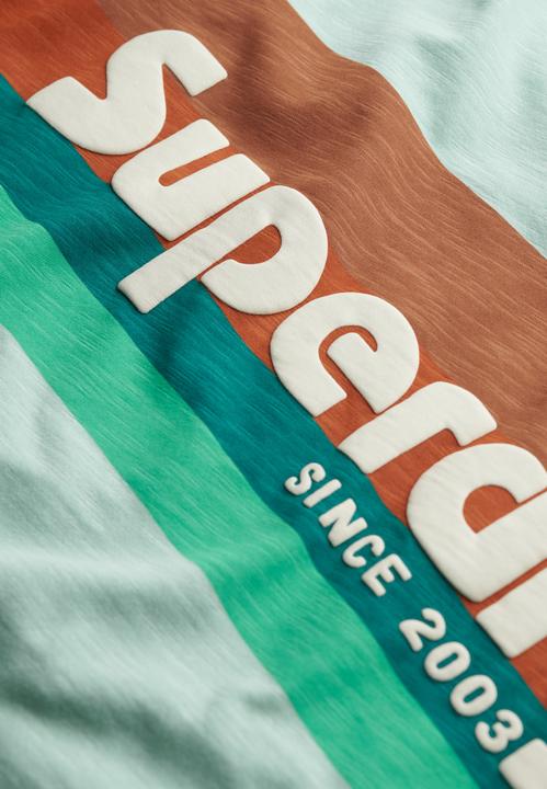 Actual product image Superdry Terrain Logo Stripe Relxed Tee (XXL)