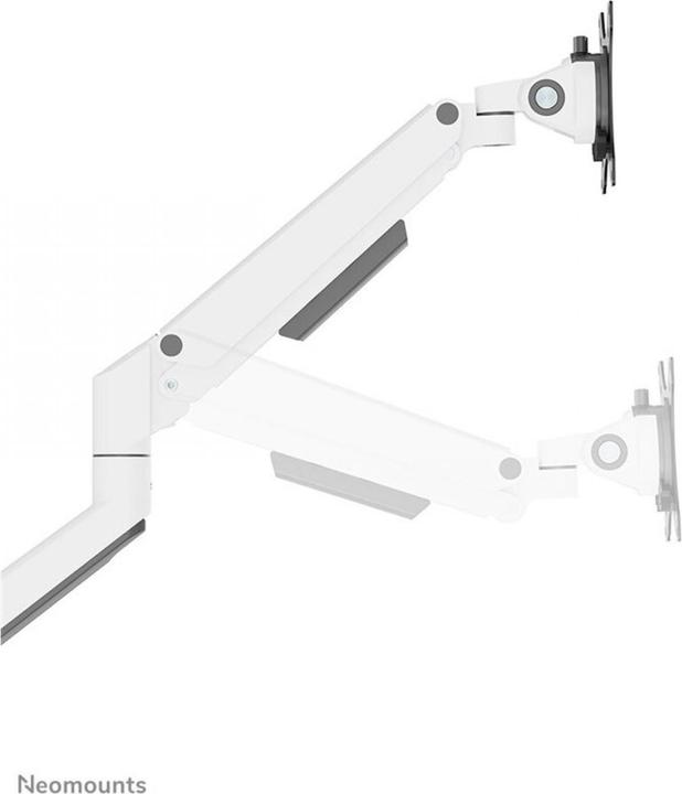 Actual product image Neomounts table mount duo 100x100 9kg/17-32"/white/fully moveable (Table, 35")