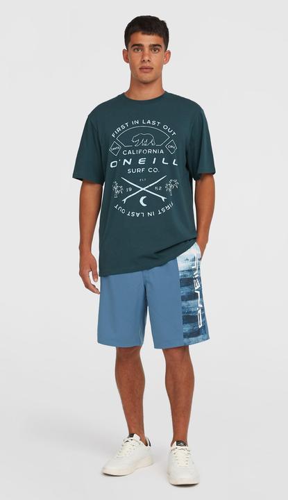 Actual product image O'Neill Jack Muir T-Shirt (XXL)