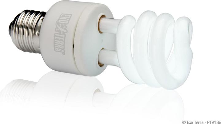 Actual product image Exo Terra Repti Glo (UVB)