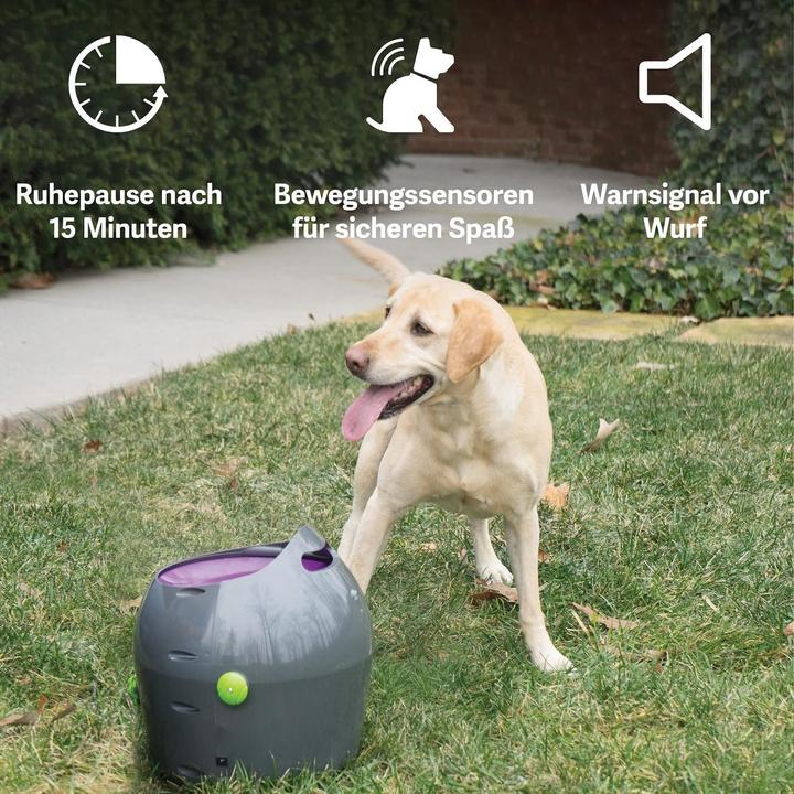 Immagine prodotto PetSafe Lanciatore di palle (Palla giocattolo per cani)