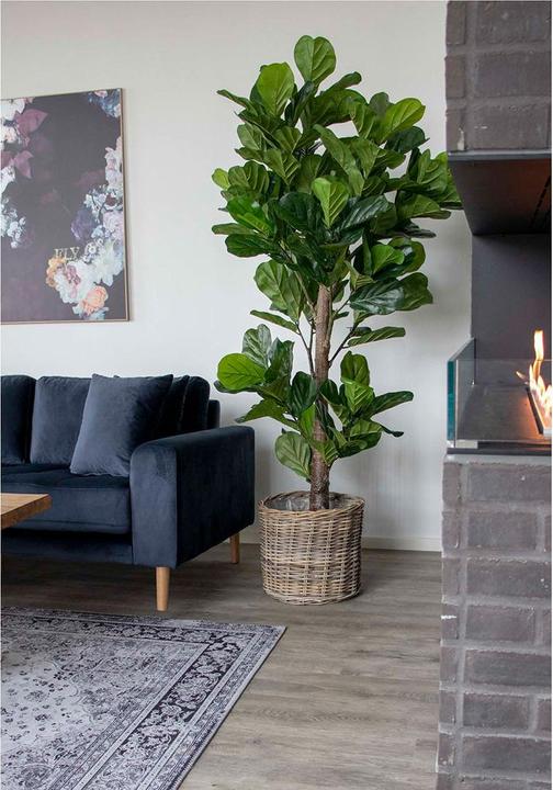 Produktbild House Nordic Fiddle (190 cm)