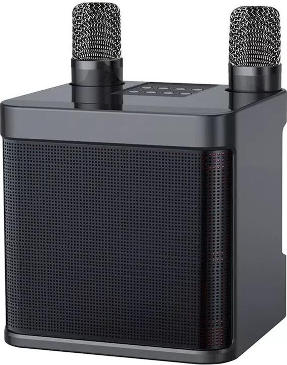 PhoneLook YS-203 (Passif)