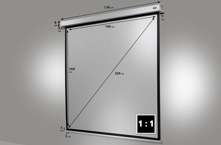 Produktbild Celexon Professional Plus (84", 1:1)