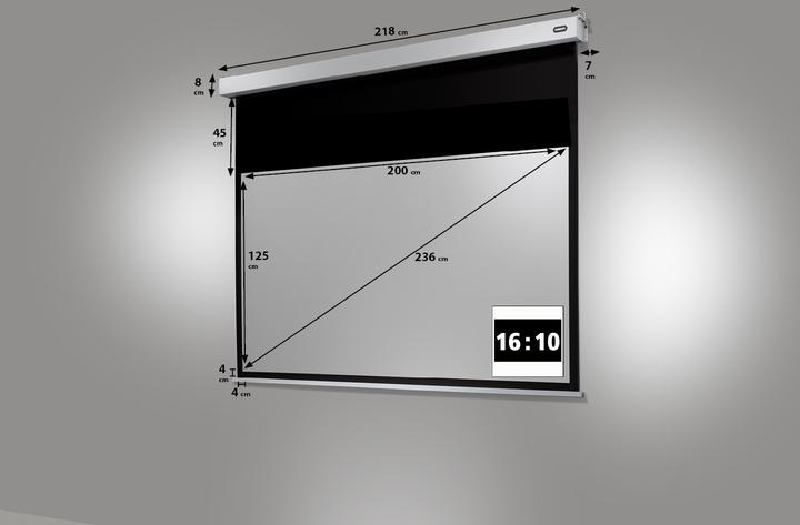 Actual product image Celexon Professional Plus (92", 16:10)