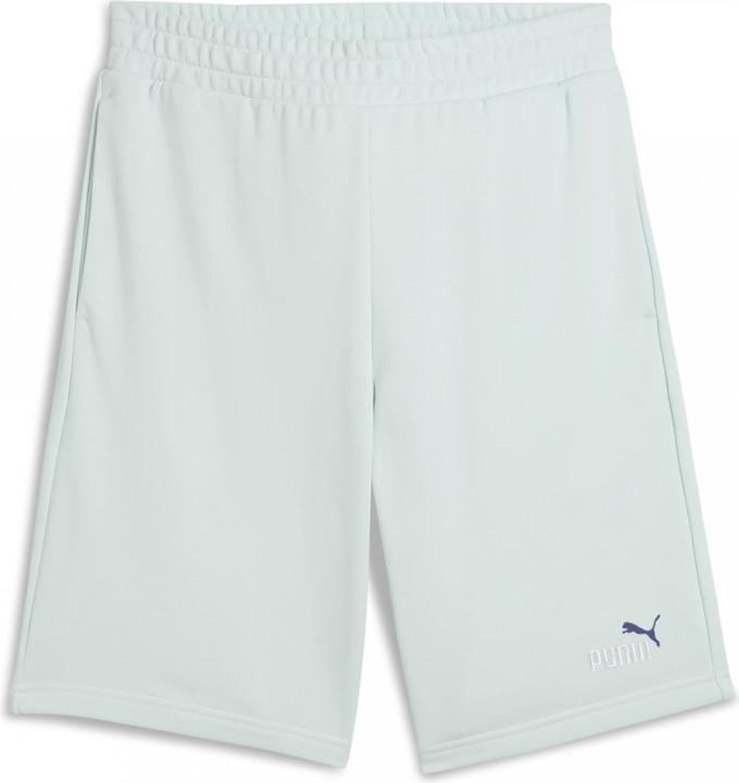 Actual product image Puma ESS 2 COLOR No. 1 Logo Shorts 10" TR (XL)
