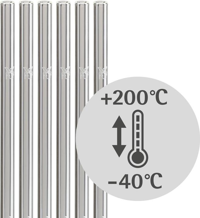 Actual product image WMF Straw Set (6 x)