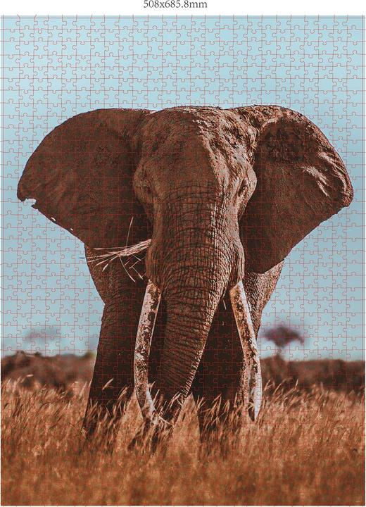 Produktbild Merchant Ambassador Wildtiere Blickkontakt Donal Boyd (1000 Teile)