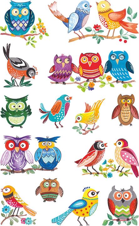 Actual product image Avery Owls