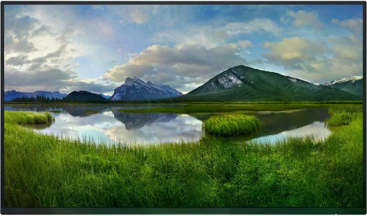 Dell P2425HWO (1920 x 1080 Pixel, 24")
