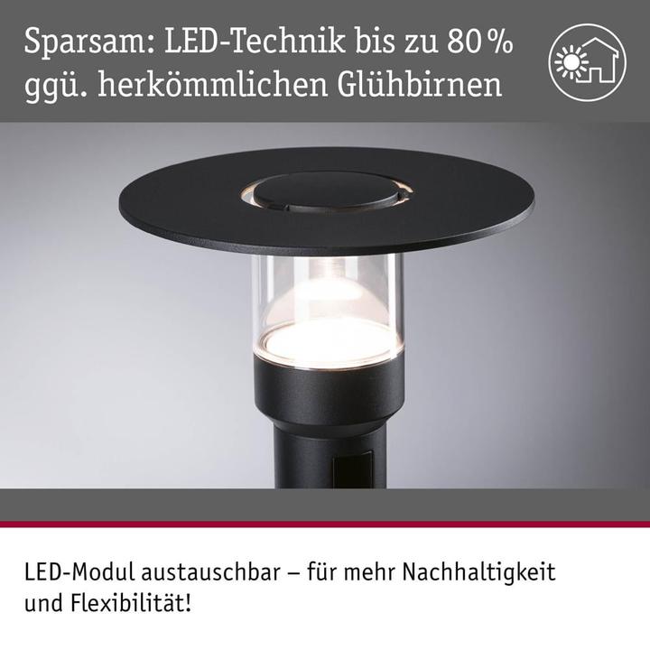 Actual product image Paulmann Sienna (950 lm, IP44)