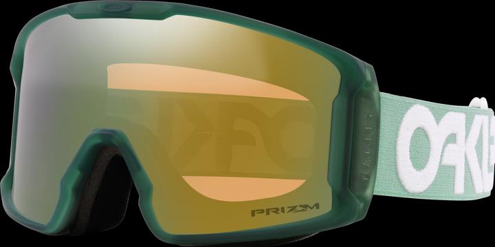 Prizm Sage Gold Iridium, Mat B1B Jade