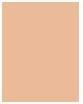 Produktbild Dermacol Make-Up Cover (No. 209)