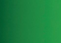 Image du produit Caran d'Ache Gouache Eco (Vert brillant, 500 ml)