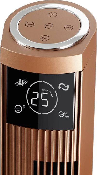 Immagine prodotto Biswind Ventilatore a torre (50 dB)