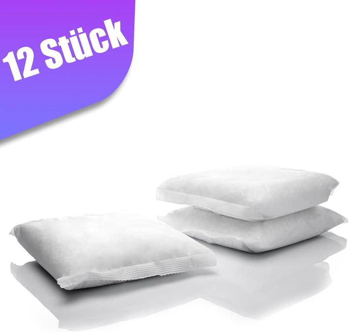 Image du produit BigDean 12x 400g Luftentfeuchter Nachfüllpack (25 m²)