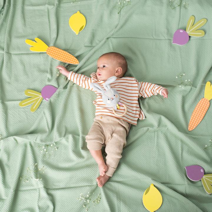 Produktbild Taf Toys Hase Rylee