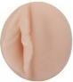 Produktbild Fleshlight Elsa Jean Tasty